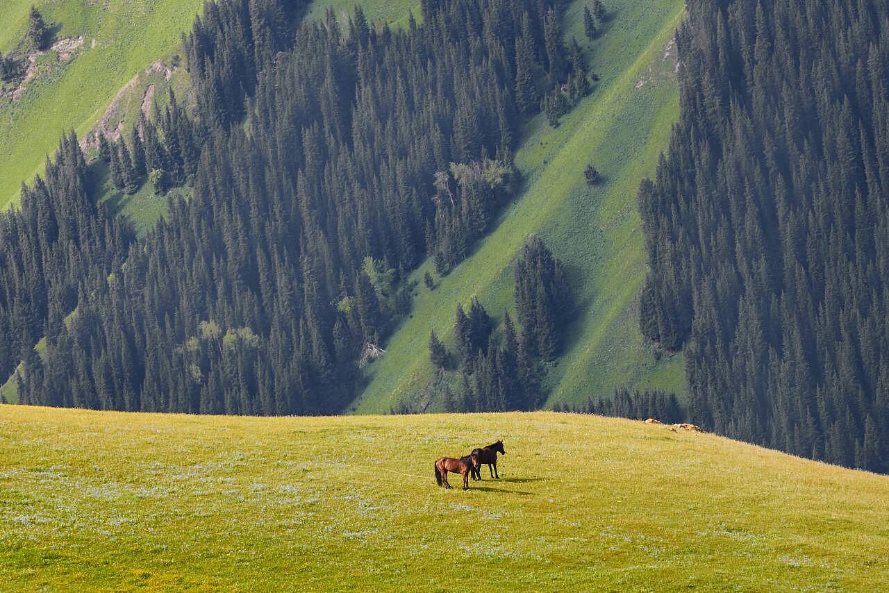 新疆印象，大学生眼中的绚丽西域风采